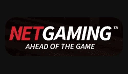 NetGaming logo