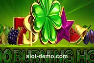 100 Burning Hot slot