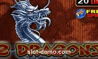 2 Dragons slot
