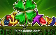 20 Burning Hot slot