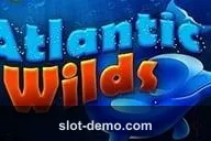 Atlantic Wilds slot