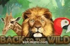 Back to the Wild slot