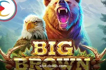 Big Brown cover