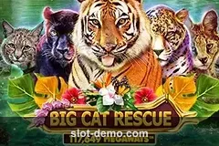 Big Cat Rescue Megaways slot