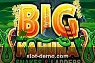 Big Kahuna Snakes & Ladders cover