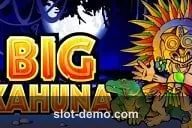 Big Kahuna slot