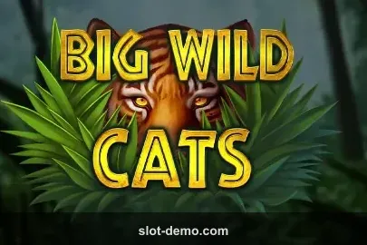 Big Wild Cats slot