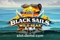 Black Sails Wild Seas cover
