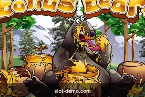 Bonus Bears cover
