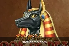 Book of Dead slot