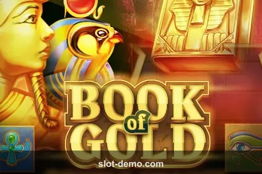 Book of Gold: Double Chance cover