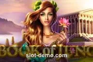 Book of Juno cover