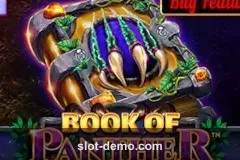 Book of Panther cover