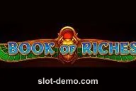 Book of Riches slot