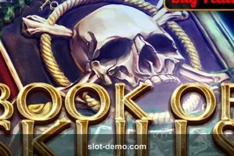Book of Skulls cover