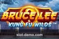 Bruce Lee Kung Fu Wilds cover