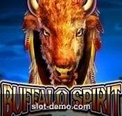 Buffalo Spirit cover