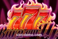 Burn 'em Up slot