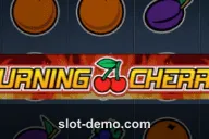 Burning Cherry HD slot