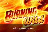 Burning Wild slot