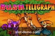 Bush Telegraph cover