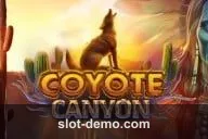 Coyote Canyon slot