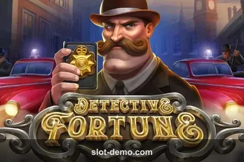 Detective Fortune cover