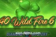 Diamond Mystery 40 Wild Fire 6 cover