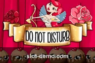 Do Not Disturb slot
