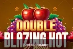 Double Blazing Hot 27 Ways cover