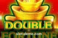 Double Fortune cover