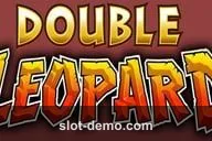 Double Leopard slot