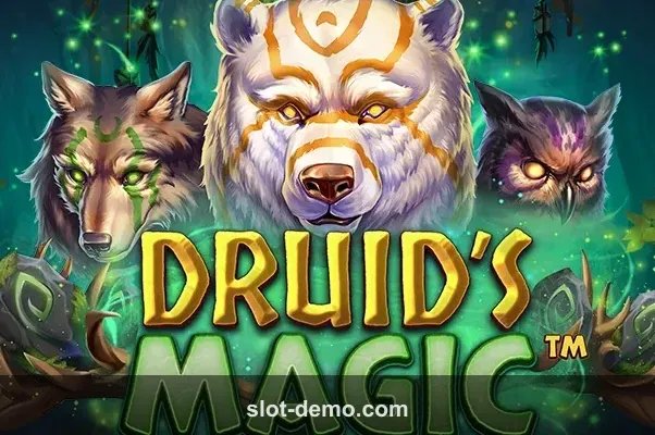 Druid's Magic cover