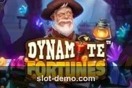 Dynamite Fortunes cover