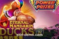 Eternal Mandarin Ducks slot