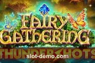 Fairy Gathering Thundershots cover