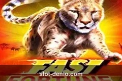 Fast Fortune slot