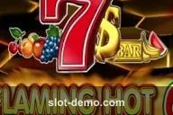 Flaming Hot 6 Reels slot