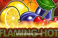 Flaming Hot slot