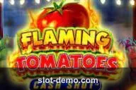 Flaming Tomatoes Cash Shot cover