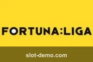 Fortuna:Liga slot