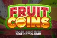 Fruit Coins Hold and Win slot