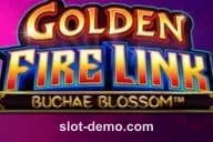 Golden Fire Link Buchae Blossom cover