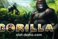 Gorilla slot
