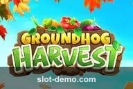 Groundhog Harvest slot