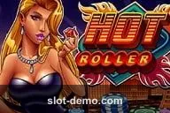 Hot Roller cover