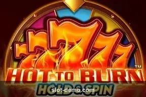 Hot To Burn Hold & Spin cover