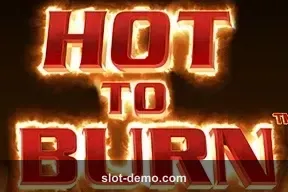 Hot to Burn cover