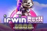 Irwin Rush 1000 slot