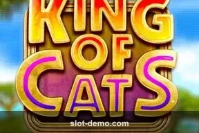King of Cats cover